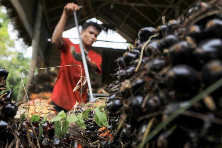 Commodities The Asean Post